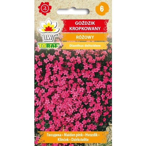 Toraf Nasiona Goździk kropkowany różowy 0,3g