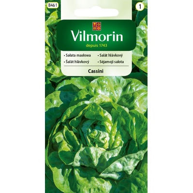 VILMORIN nasiona SAŁATA MASŁOWA CASSINI 0,5 G