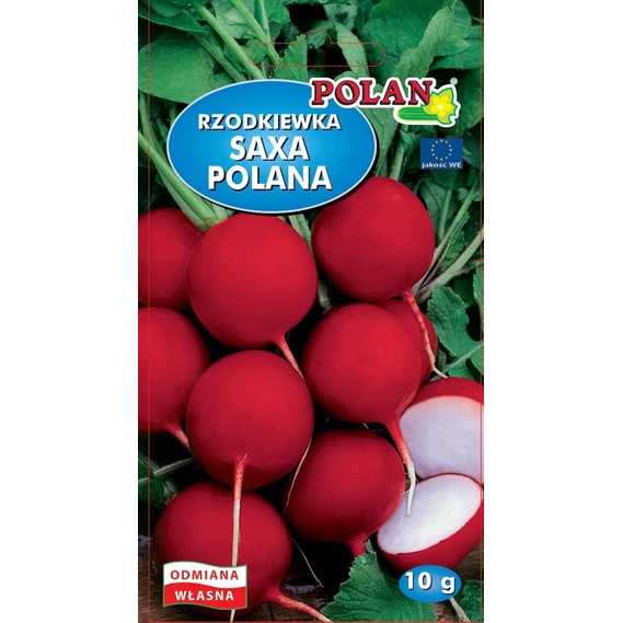 RZODKIEWKA SAXA POLANA 10G