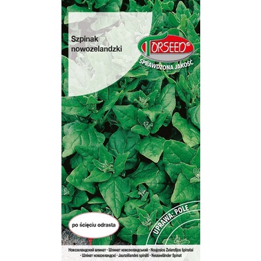 TORSEED nasiona SZPINAK NOWOZELANDZKI 5 G