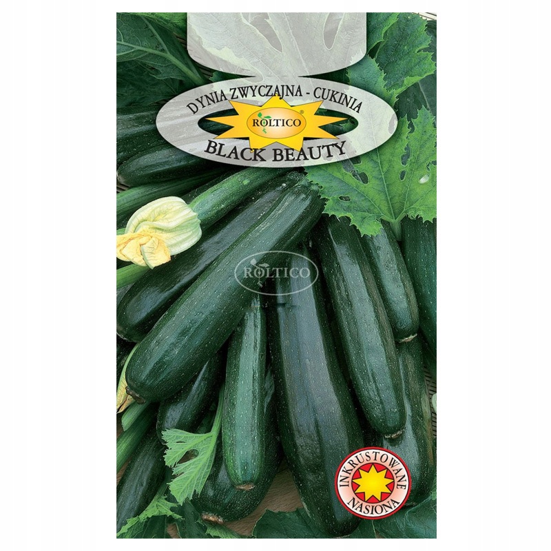 CUKINIA DYNIA BLACKBEAUTY WCZESNA NASIONA 2G
