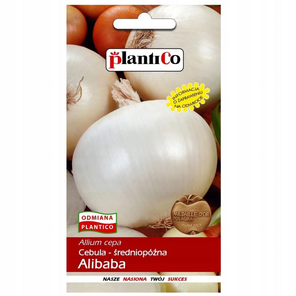 Plantico Cebula Alibaba