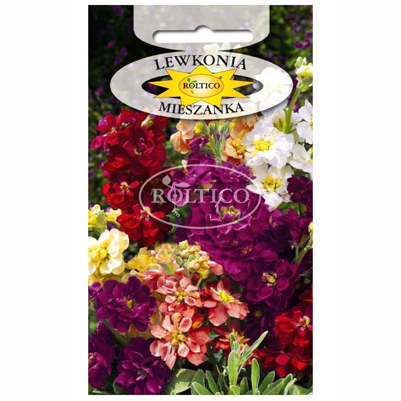 LEWKONIA MIESZANKA pachnące kwiaty NASIONA