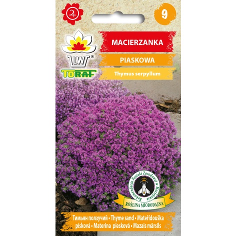 Macierzanka piaskowa nasiona kwiatów 0,1g TORAF