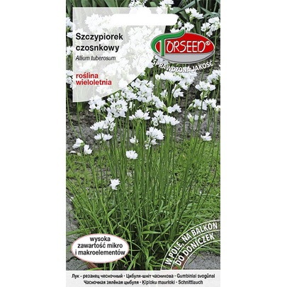 TORSEED nasiona SZCZYPIOREK WIELOLETNI CZOSNKOWY 1 G