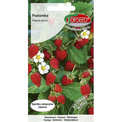 TORSEED nasiona POZIOMKA MROZOODPORNA RUJANA 0,2 G