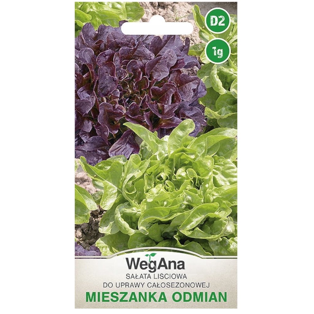 Sałata Liściowa mieszanka odmian do uprawy całosezonowej 1g GMO Free
