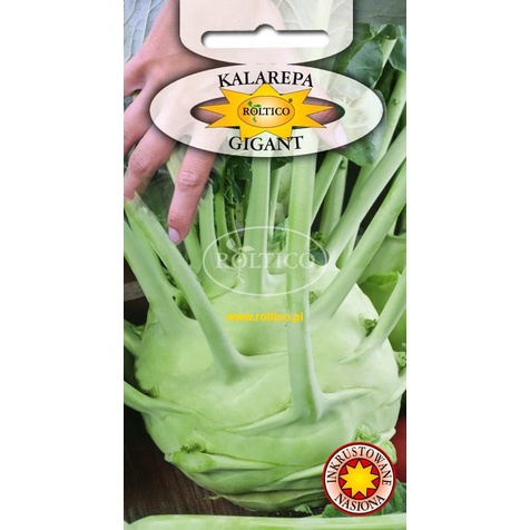 KALAREPA GIGANT 2g późna NASIONA
