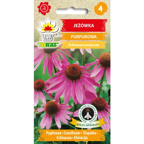 Jeżówka purpurowa nasiona kwiatów 1g TORAF