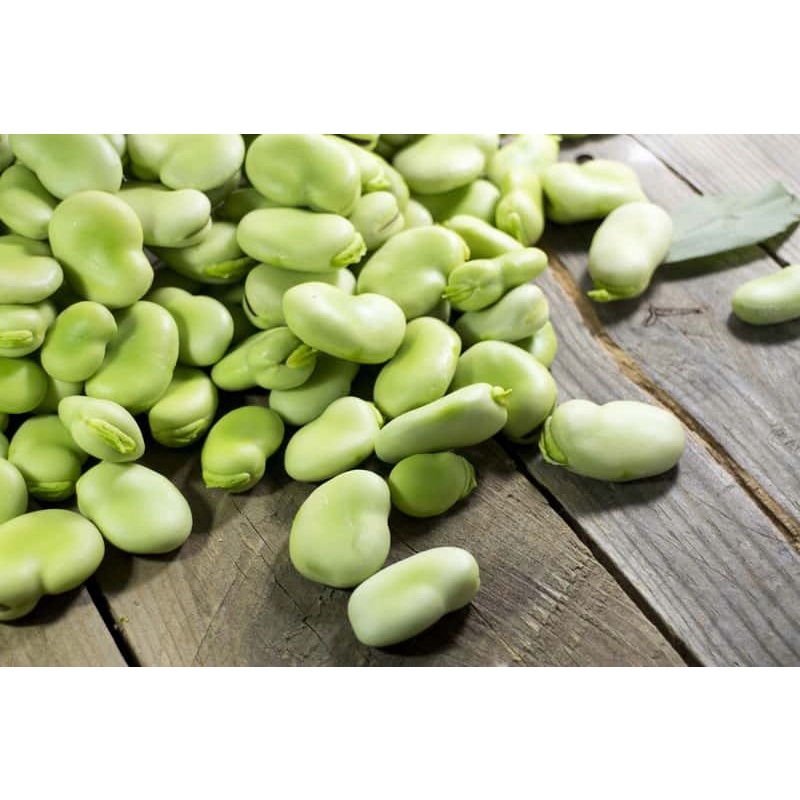 NASIONA BÓB BOLERO BARDZO SMACZNY WCZESNY 50 g.