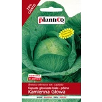 Kapusta Biała Kamienna Głowa 50g Nasiona Późna