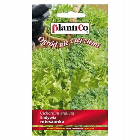 ENDYWIA MIX 0,3G MIESZANKA PLENNE NASIONA PLANTICO