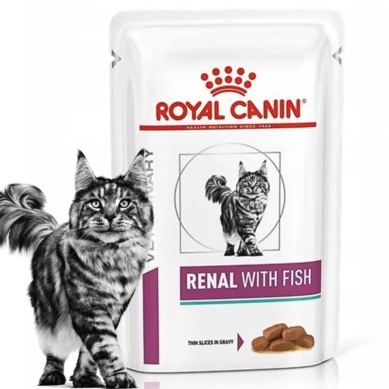 Royal Canin saszetka Cat Renal Fish Ryba 85g x 1 saszetka