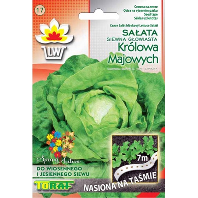 Toraf Sałata Królowa Majowych nasiona na taśmie 7m 01417