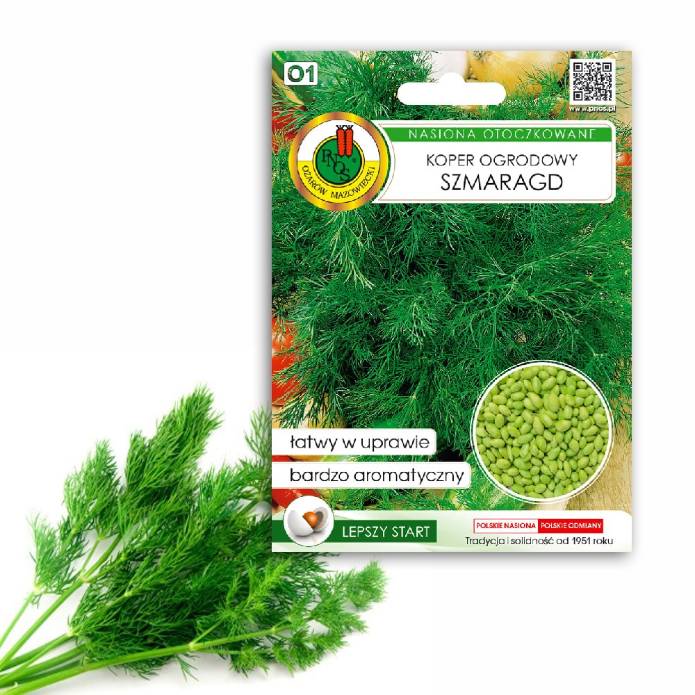 Koper ogrodowy 'SZMARAGD' odmiana wczesna Świeże Nasiona Naturalne 300 nasion