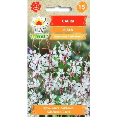 Gaura biała nasiona kwiatów 0,5g TORAF