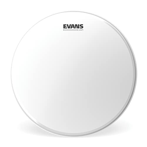 Evans BD20UV1 UV1 głowica basowa, 50 cm