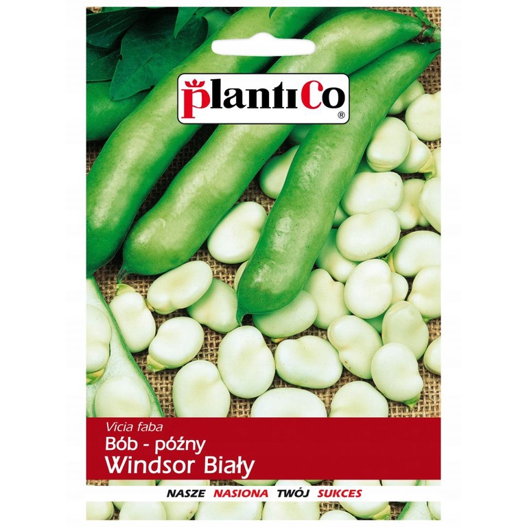 Bób White Windsor 500G Nasiona Bardzo Plenny