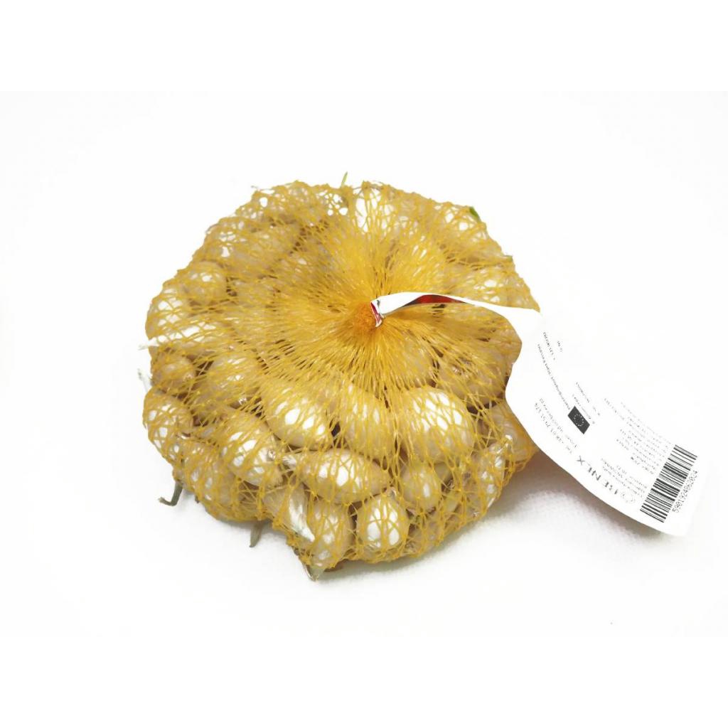 Cebula Dymka biała Snowball 0,25kg 10-21mm