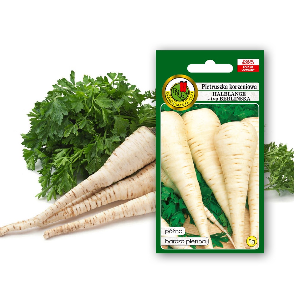 Pietruszka 'HALBLANGE' odmiana późna Świeże Nasiona Naturalne 5g