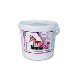 Orling Suplement dla starszych koni MineralPony Senior 3 kg