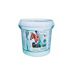 Orling Witaminy i minerały GelaPony Vitamin 10,8 kg