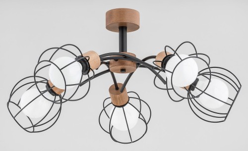Alfa PALOMA 28385 lampa sufitowa 5x60W/E27 28385