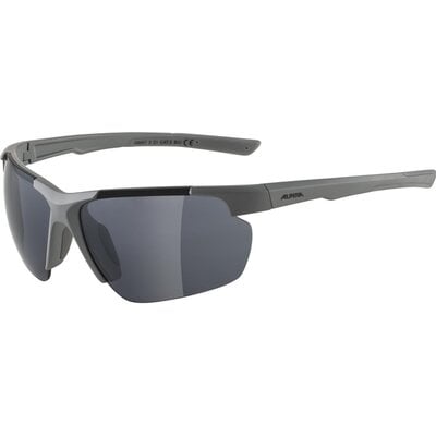Alpina Alpina Defey HR Glasses, szary 2022 Okulary 8657321
