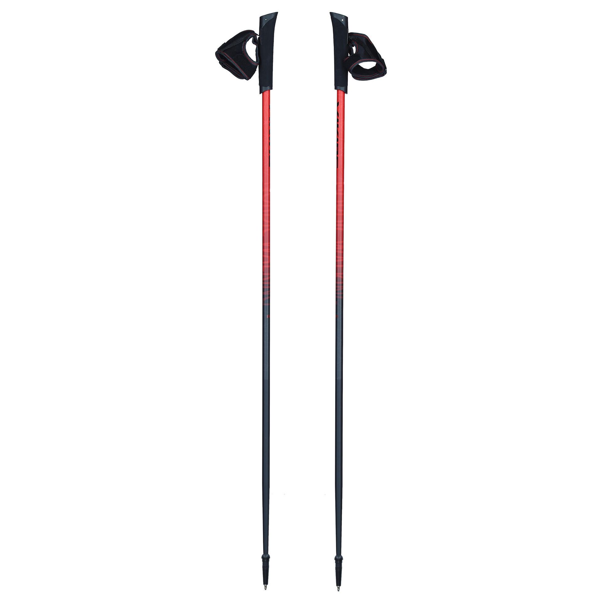 Viking Kij Nordic Walking, Pro-Trainer