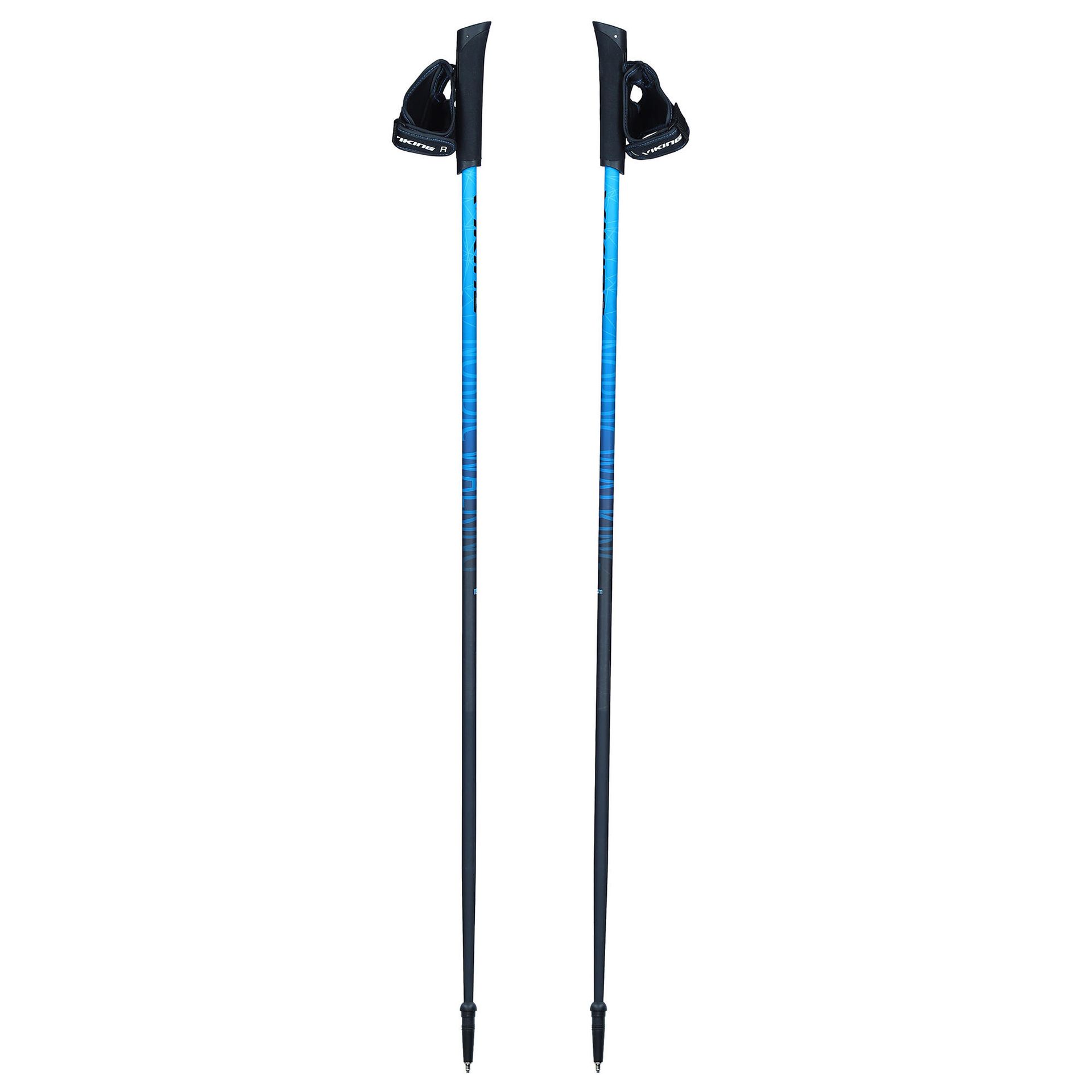 Viking Kij Nordic Walking, Pro-Trainer