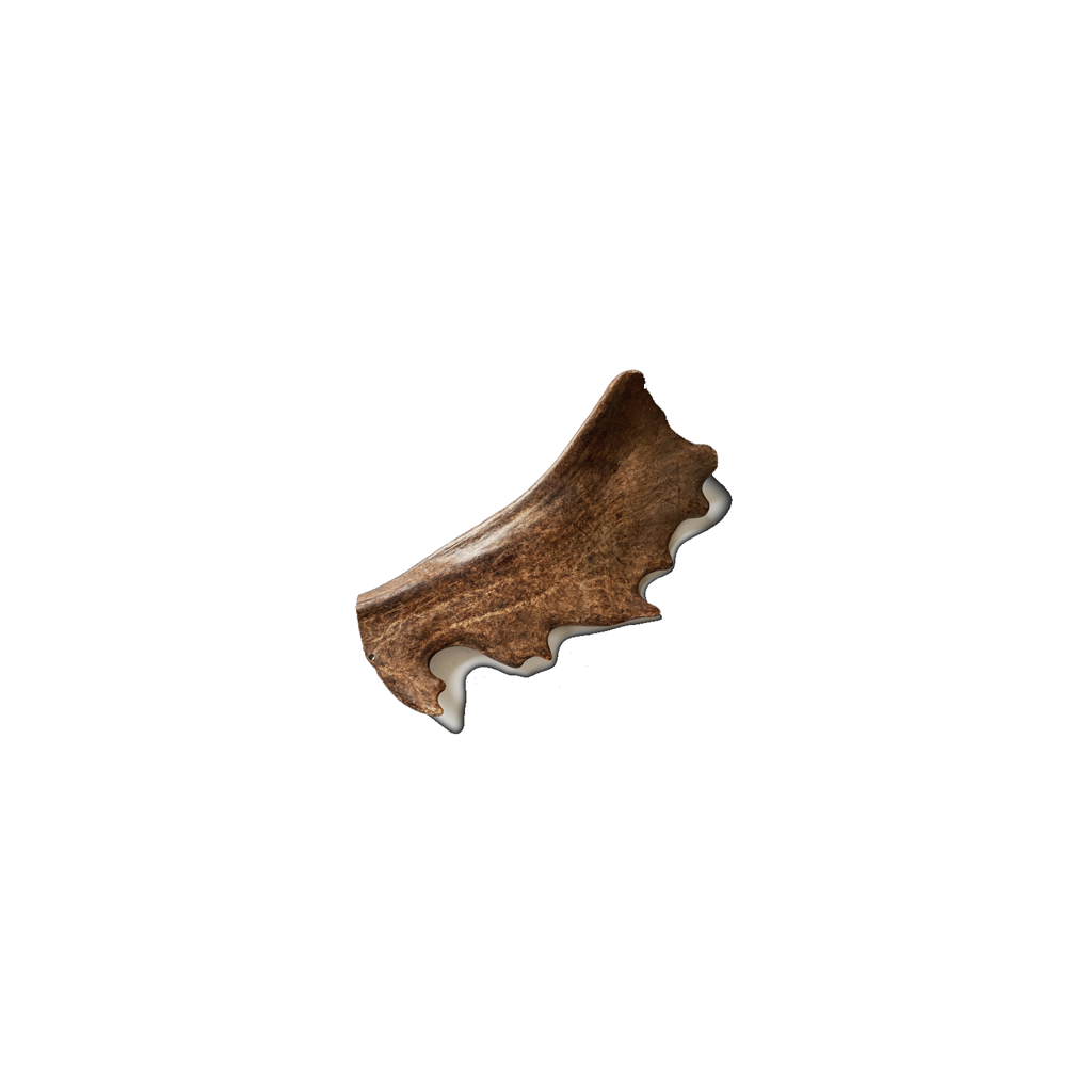 RECOSNACK GRYZAK Z POROŻA DANIELA M 76-150G