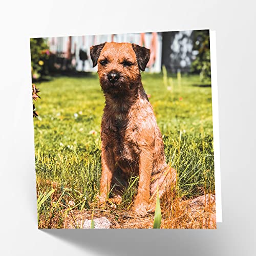 Maturi Pusta kartka z życzeniami z obrazem z psem granicznym terrier
