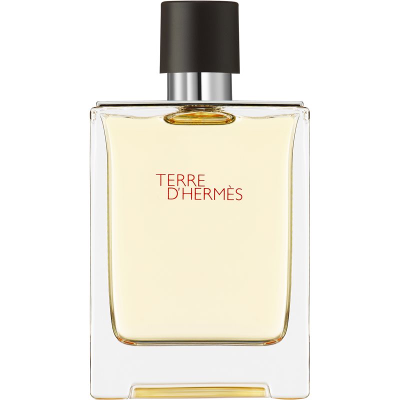 Hermes Terre DHermes EDT 100ml 400003