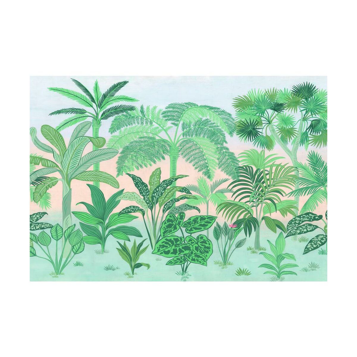 Fototapeta Jungara 368 x 254 cm