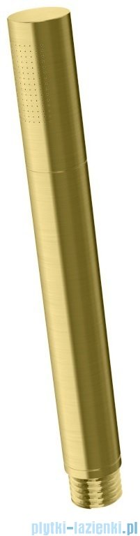 Kohlman Experience Brushed Gold słuchawka prysznicowa złoto szczotkowane SP4EGDB
