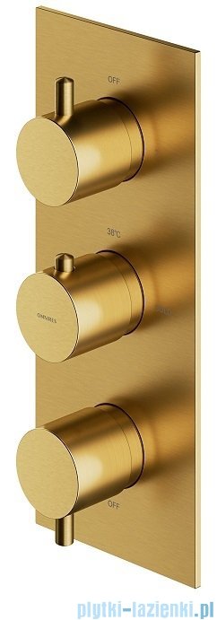 Omnires Y bateria podtynkowa termostatyczna 3-wyjściowa element natynkowy złoto szczotkowane Y1238/KROGLB