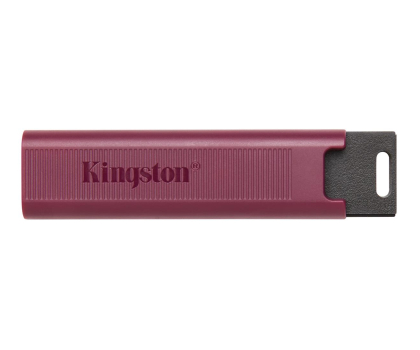 Kingston DataTraveler MAX 256GB USB 3.2 USB-A