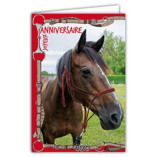 Afie 67-1224 Kartki Happy Birthday Horse Zwierzęta Jeździectwo Uprząż Czerwone Zjeżdżalnia Jeździec z białą kopertą format 12x17,5cm