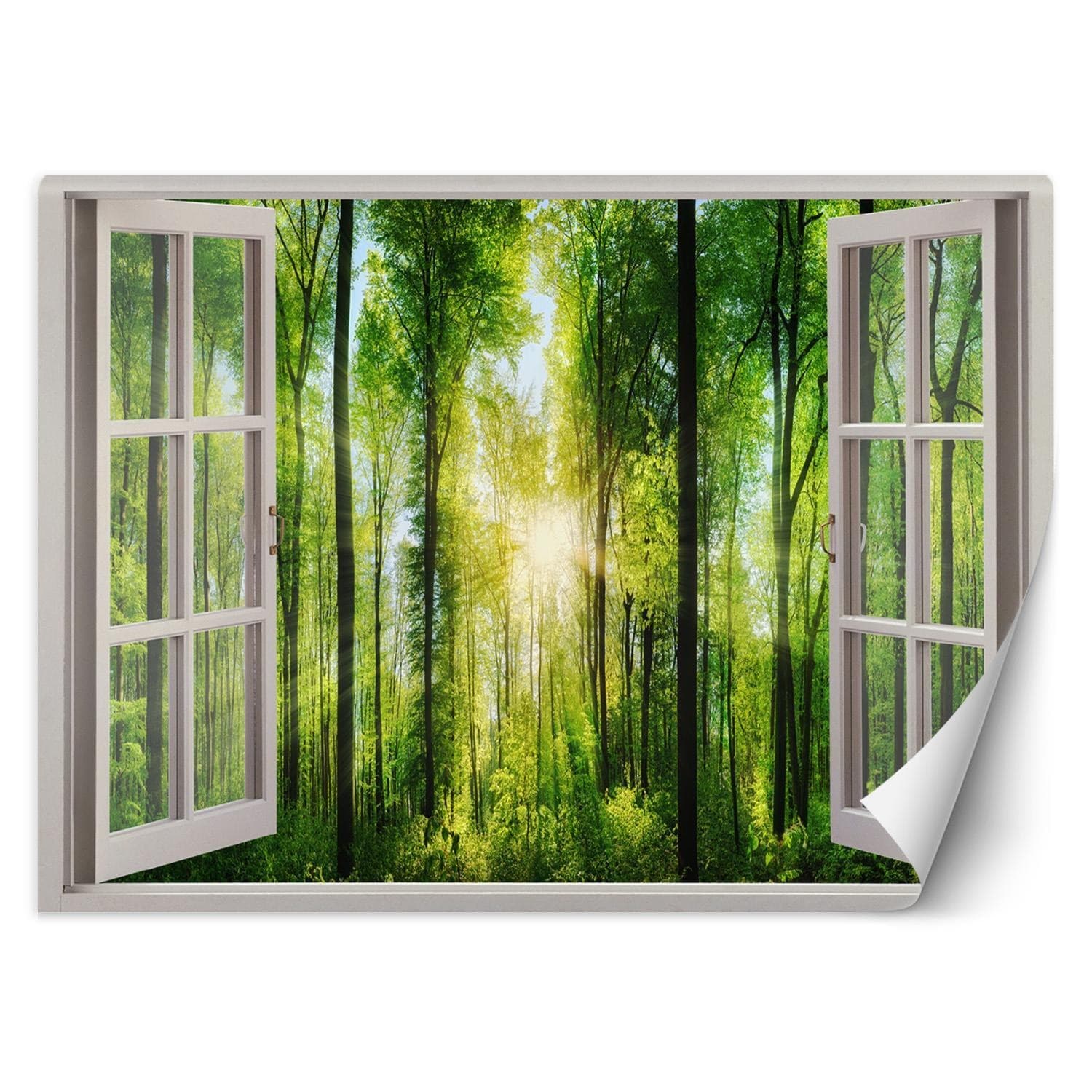 Fototapeta, Okno - promienie słońca w lesie (Rozmiar 140x100)