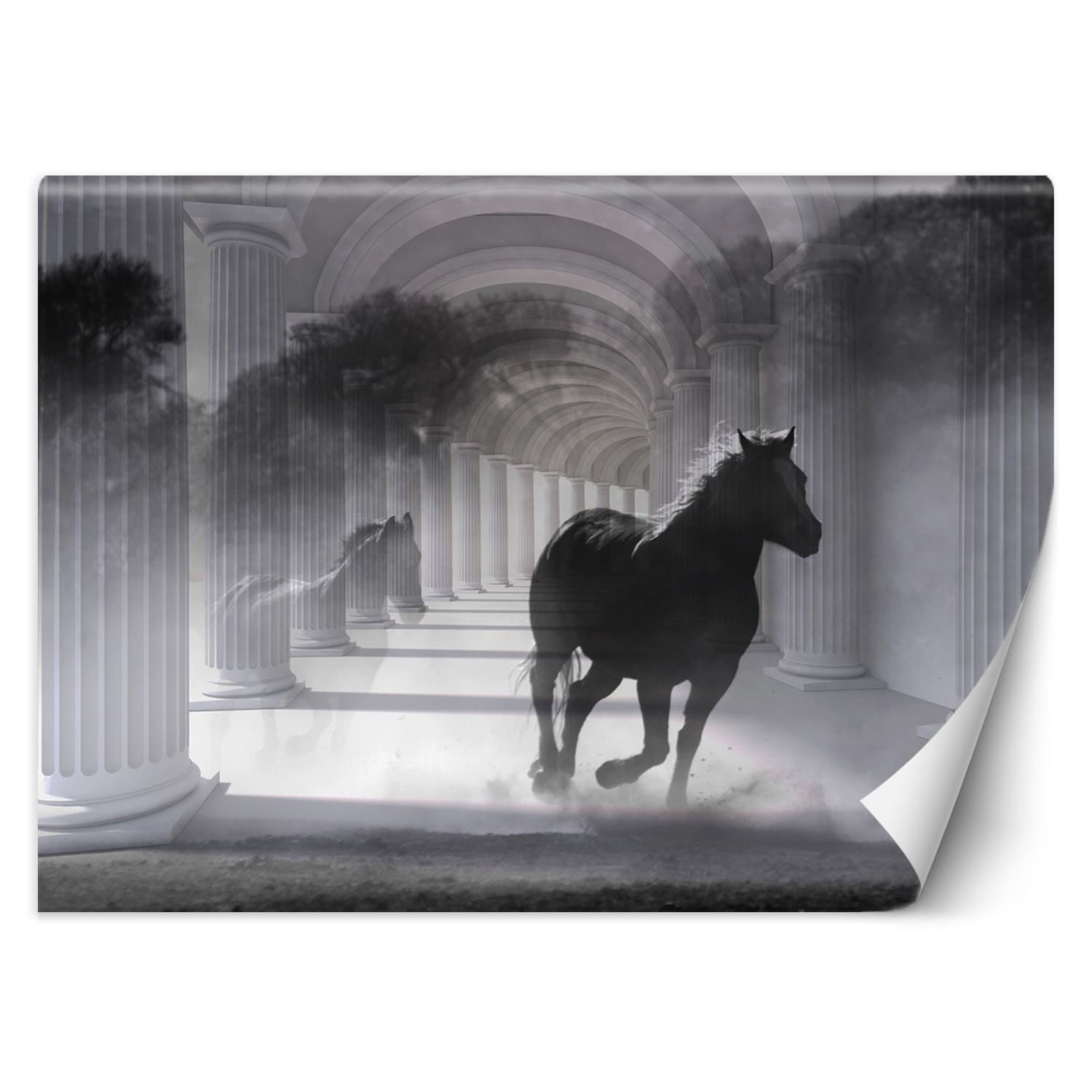 Fototapeta, Biegnący koń, efekt 3D (Rozmiar 254x184)