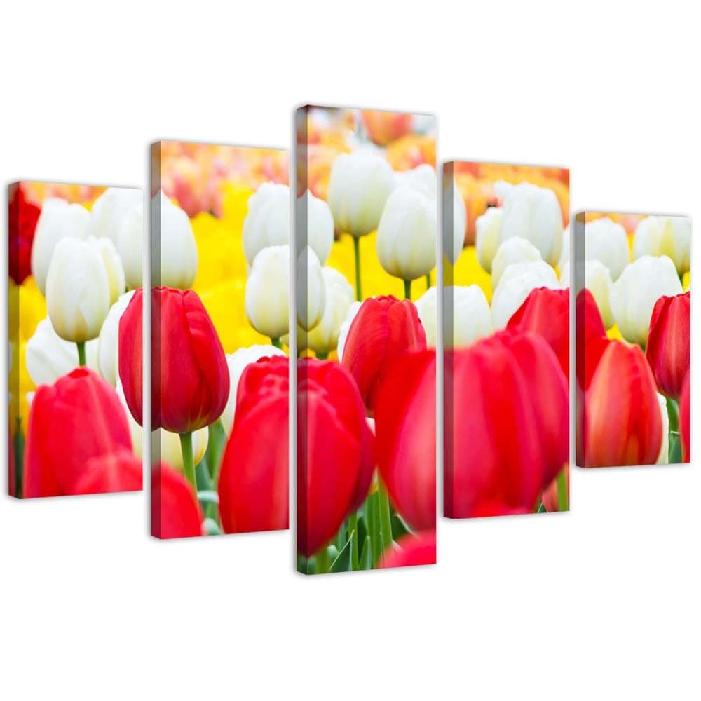 Obraz pięcioczęściowy na płótnie, Białe i czerwone tulipany (Rozmiar 150x100)