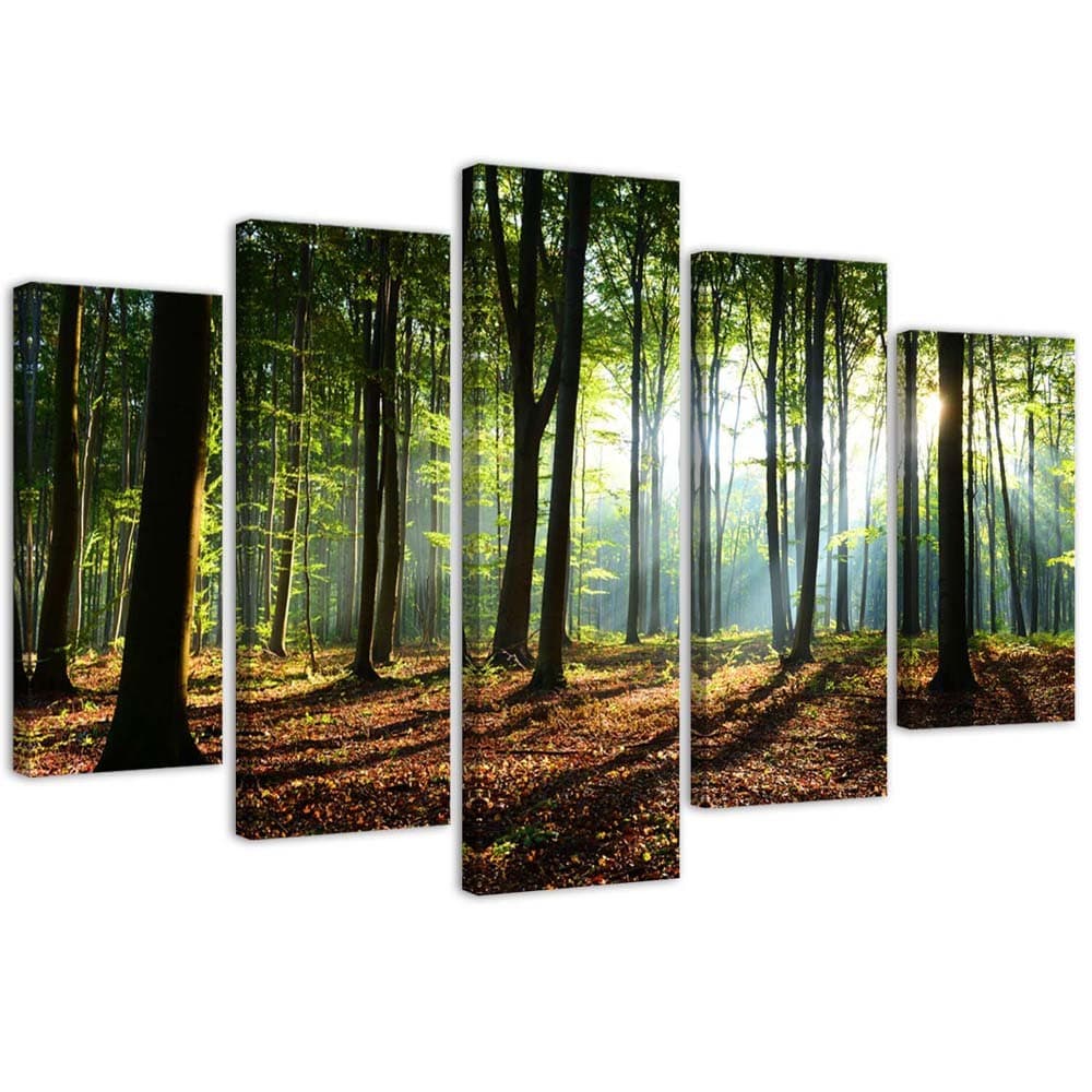 Obraz pięcioczęściowy na płótnie, Promienie słońca w lesie (Rozmiar 200x100)