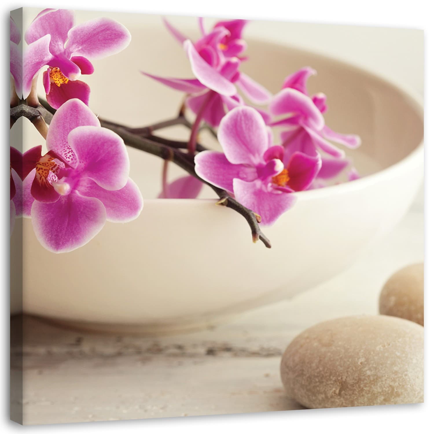 Obraz na płótnie, Różowe orchidee w naczyniu (Rozmiar 30x30)