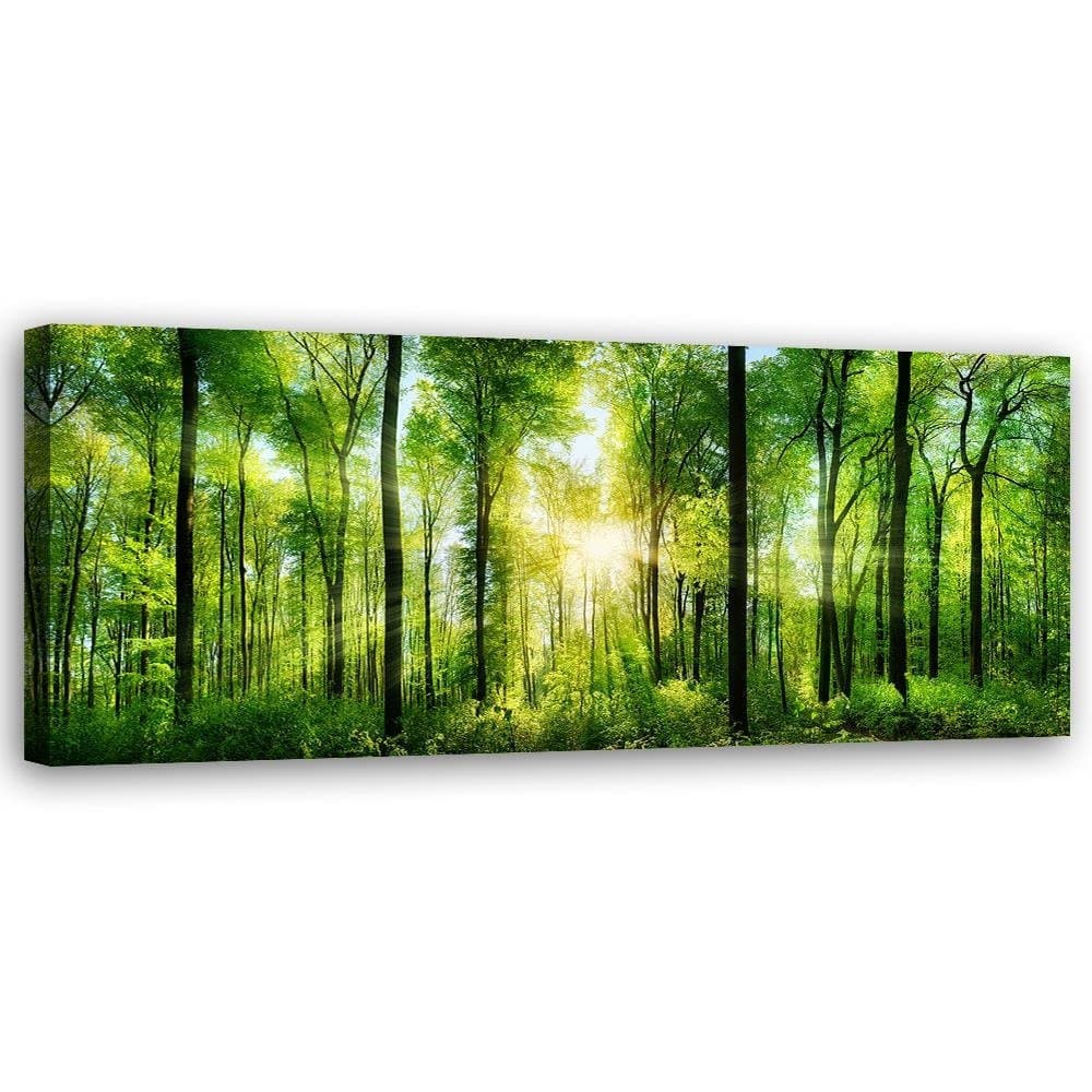 Obraz na płótnie, Promienie słońca w lesie (Rozmiar 120x40)