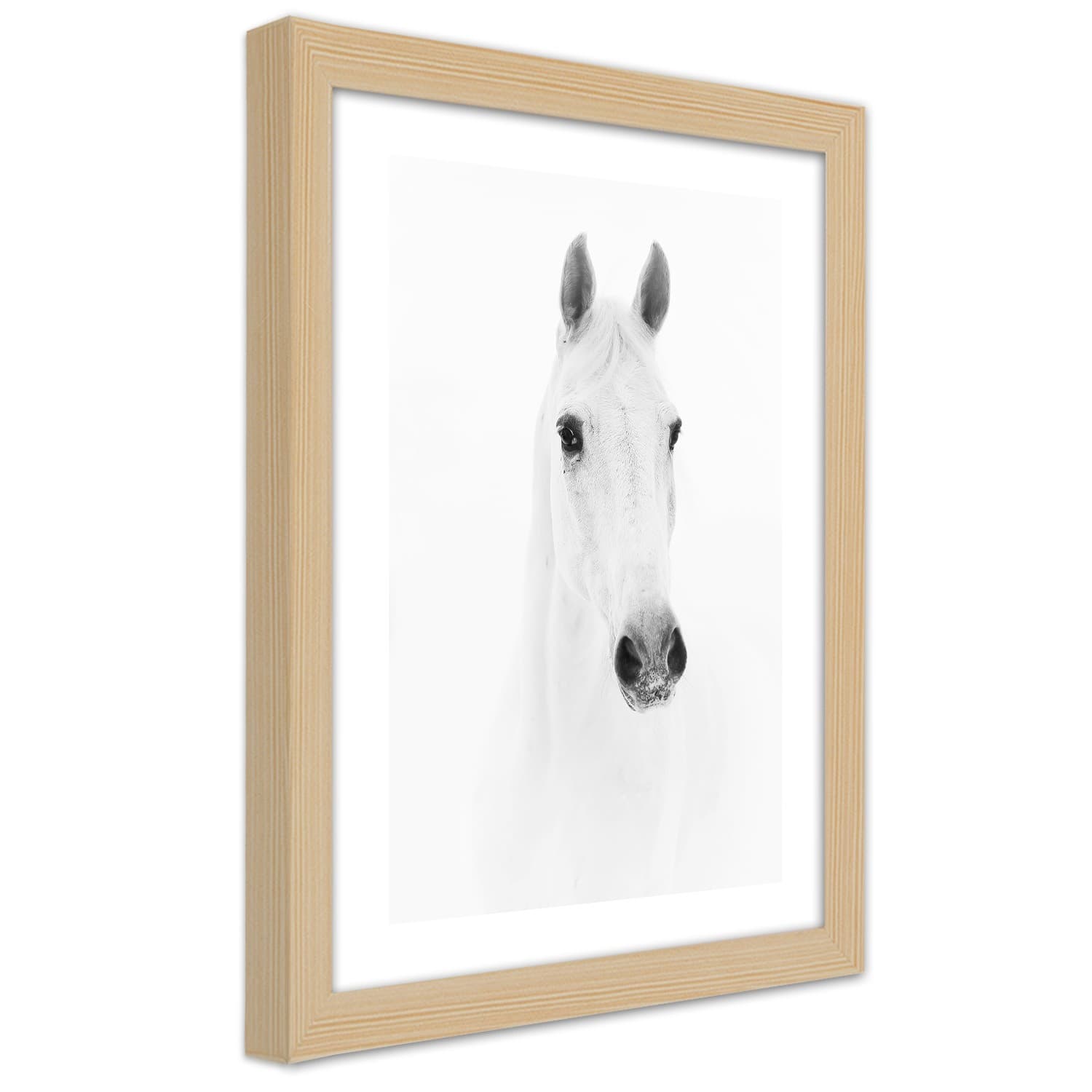 Plakat w ramie naturalnej, Siwy koń (Rozmiar 60x90)