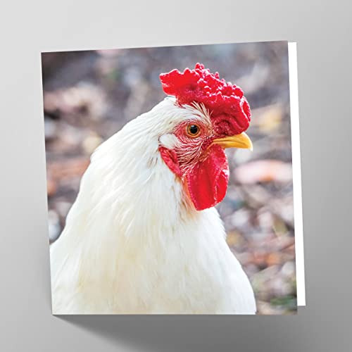 Maturi Pusta kartka z życzeniami z motywem kurczaka Leghorn