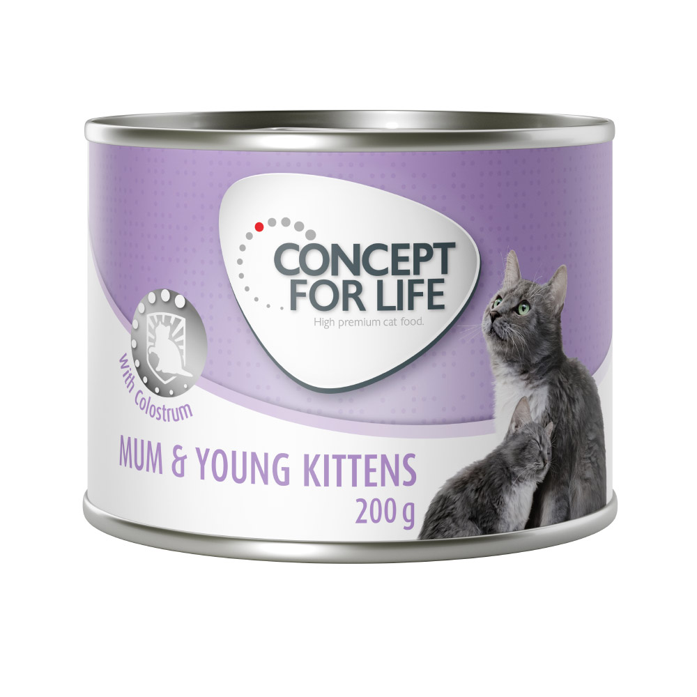 24x200g Concept for Life Mum & Young Kittens w musie, karma mokra dla karmiących i ciężarnych kotek i dorastających kociąt
