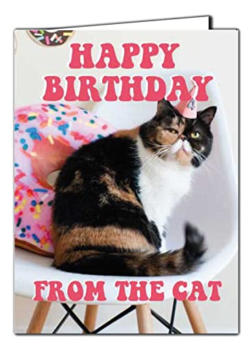 Kartka urodzinowa z kotem 'Happy Birthday' od kota C16