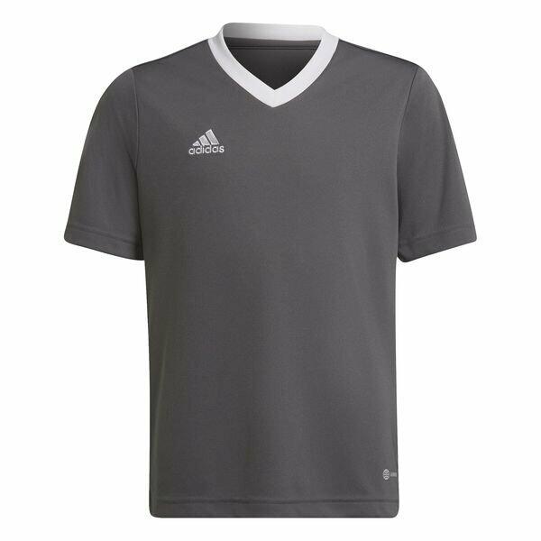 Dziecięca Koszulka z krótkim rękawem ADIDAS ENT22 JSY Y H57499 – Szary