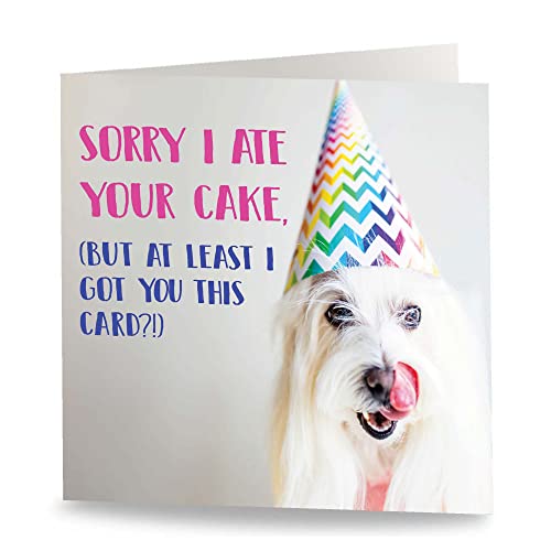 Maturi 'Sorry I Ate Your cake' zabawna kartka z życzeniami urodzinowymi - puste wnętrze